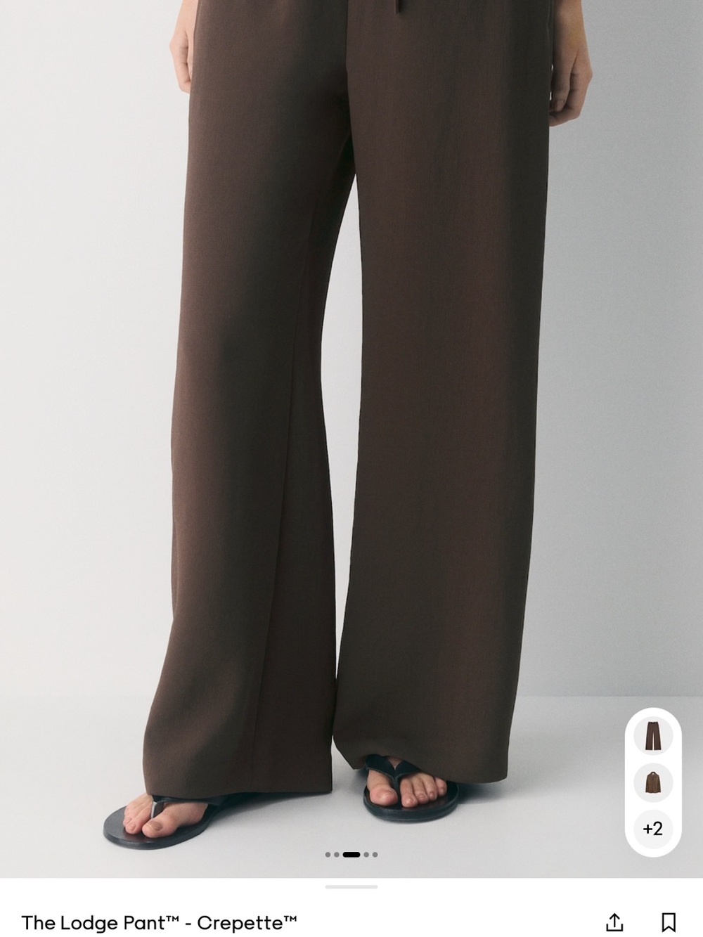 Aritzia Lodge Pants in Rich Mocha Brown